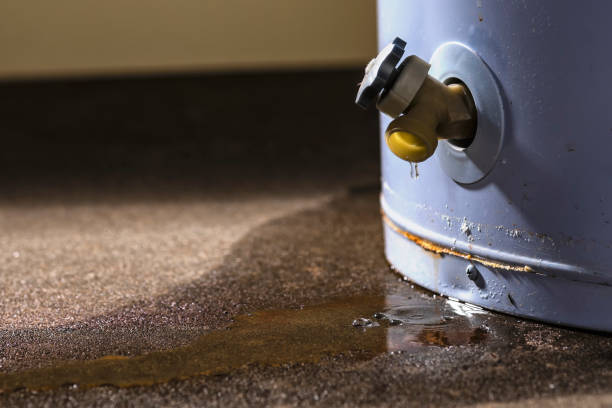  New Haven, IN Water damage restoration Pros