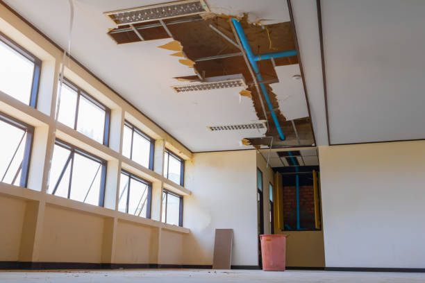 Best 24-hour water damage restoration  in New Haven, IN