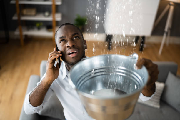 Best Commercial water damage restoration  in New Haven, IN