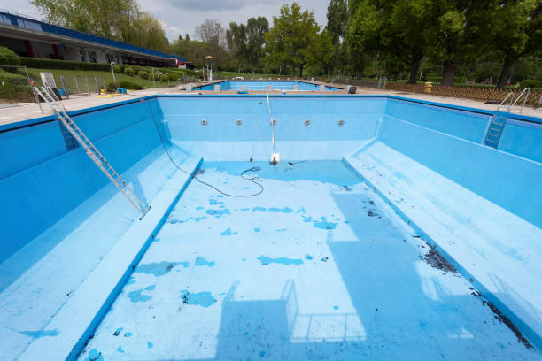 Best Mold removal after water damage  in New Haven, IN