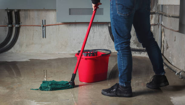 Best Flooded house restoration  in New Haven, IN