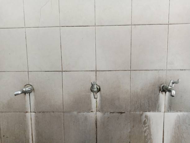 Local water damage restoration in New Haven, IN