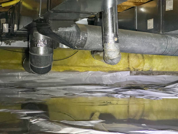Best Sewage cleanup and water damage restoration  in New Haven, IN