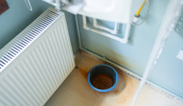 Best Flood damage cleanup  in New Haven, IN