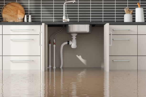 Best Water damage contractors near me  in New Haven, IN